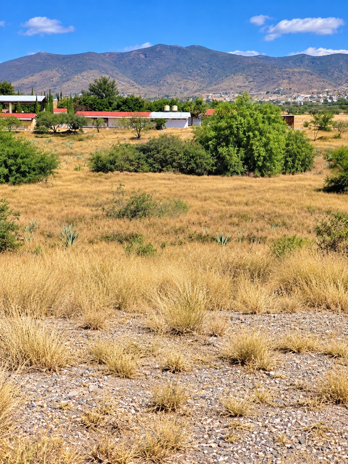 Crucero de Santa Ana del Valle