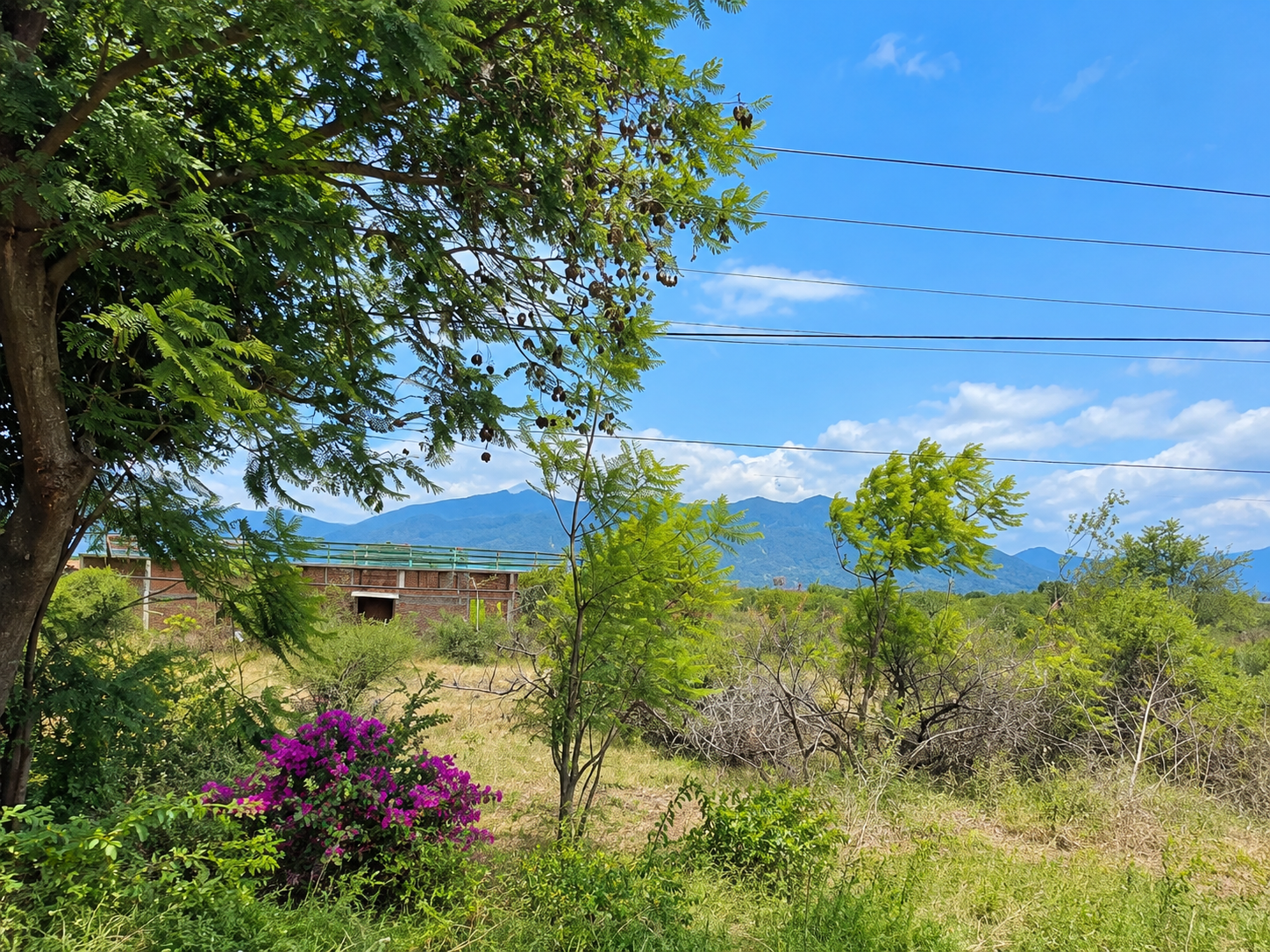 Terreno-orilla de carretera-negocio-Tanivet-Tlacolula — foto 4